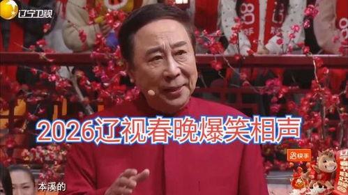 搞笑春晚相声,相声盛宴，欢乐无限